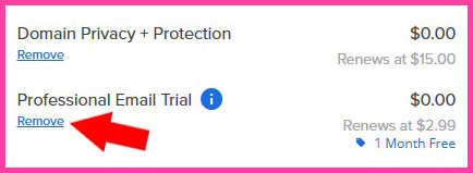 Bluehost settings showing Domain Privacy option and Professional Email trial removal.
