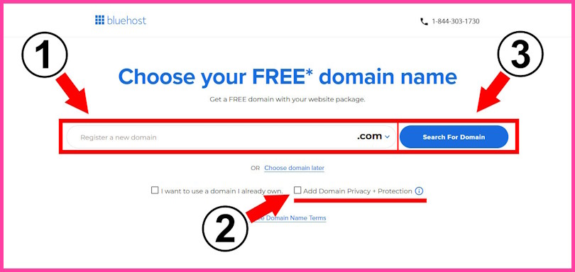 Bluehost domain name search box for choosing or connecting your domain.